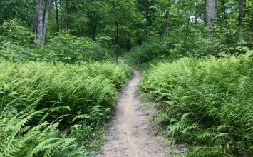 Southeast Ohio Adds a New Trail Network